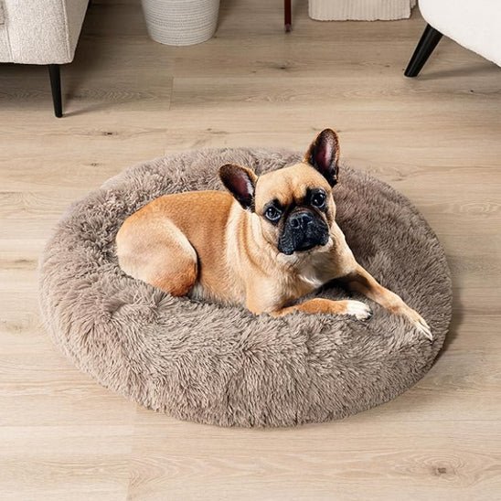 coussin chien | Doudounid - Dorlote Ton Chien