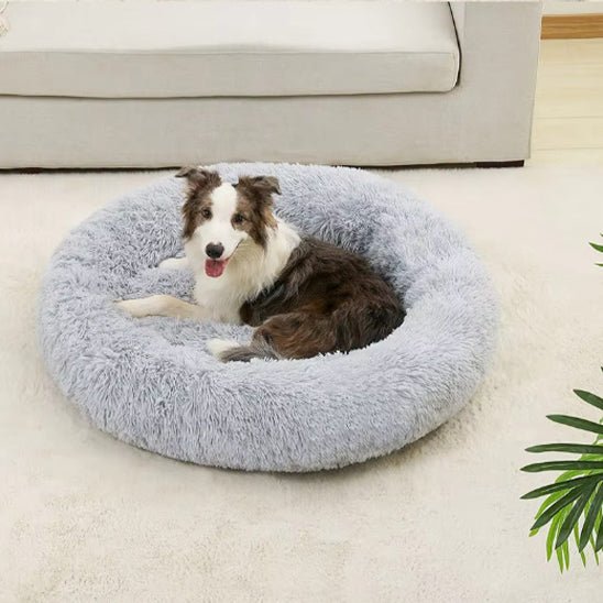 coussin chien | Doudounid - Dorlote Ton Chien