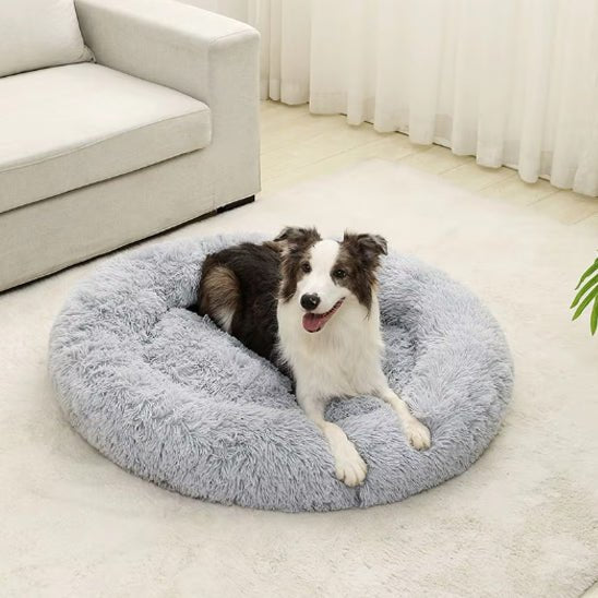coussin chien | Doudounid - Dorlote Ton Chien