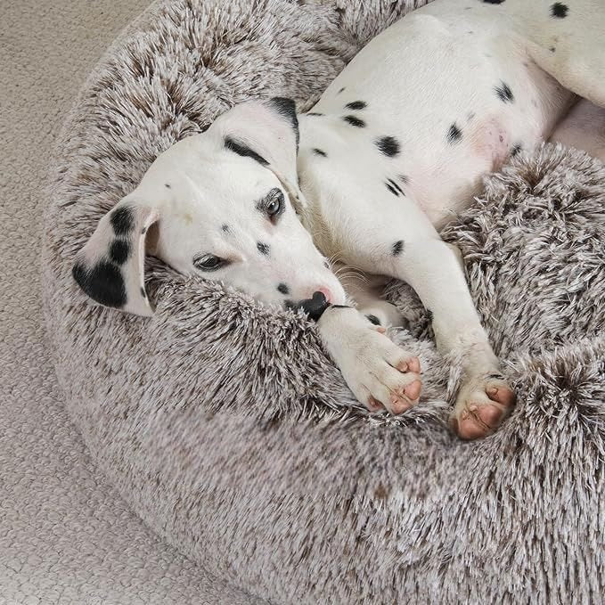 Lit pour Chien - FluffyDogBed™ - Café Dégradé - Dorlote Ton Chien