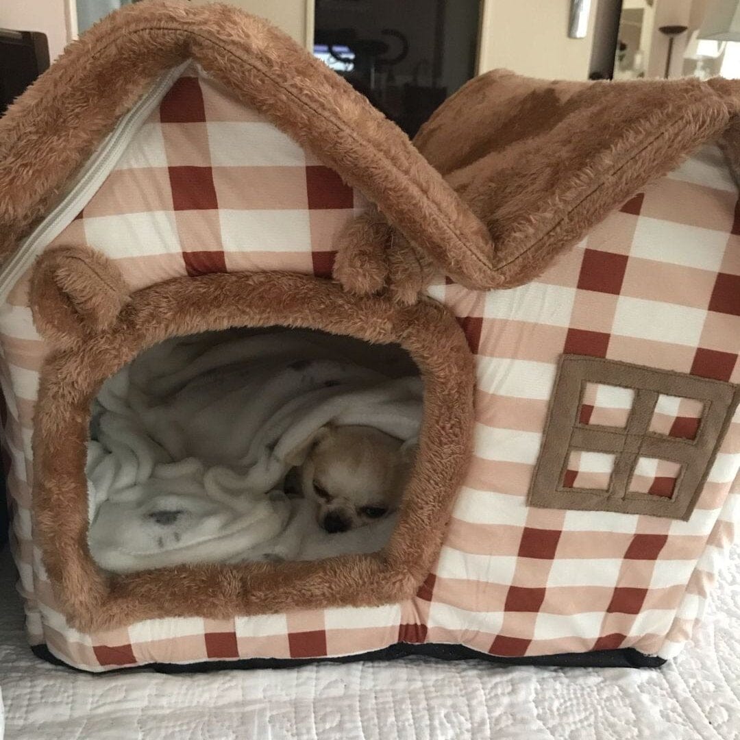 Niche Chien - ComfortableDogHouse™ - Marron Toiture Double - Dorlote Ton Chien