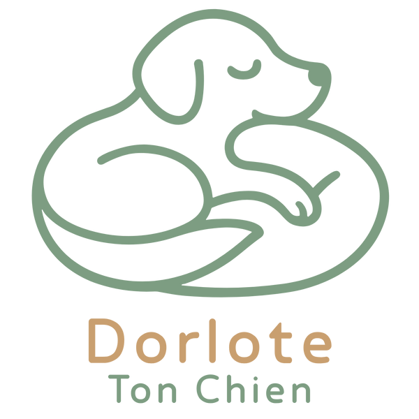 Dorlote Ton Chien