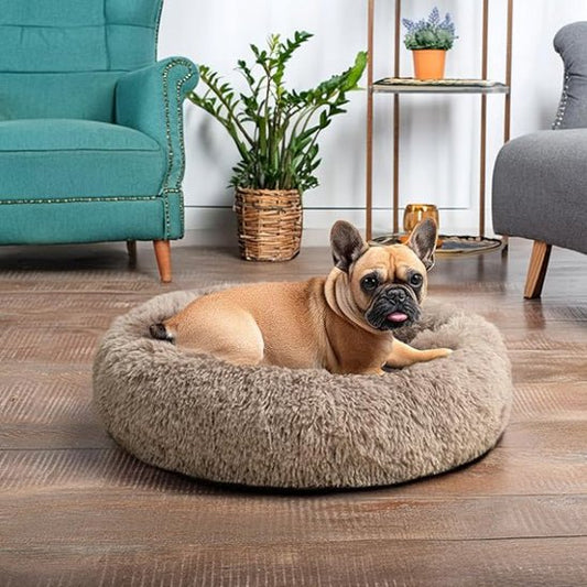 coussin chien | Doudounid - Dorlote Ton Chien